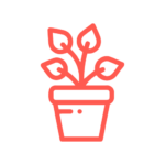 pot plant (medium) 